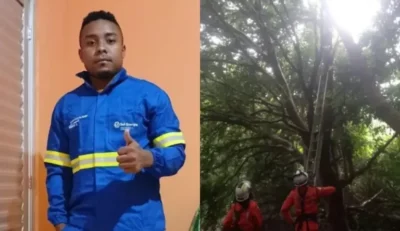 Maranhense desaparecido desde março é encontrado em cima de árvore na Bahia
