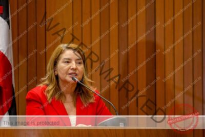 Assembleia aprova projetos de Iracema Vale para homenagear renomados médicos maranhenses
