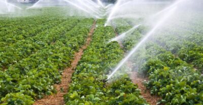 Política Nacional de Irrigação atinge em 2024 1,7 milhão de hectares
