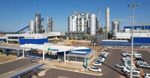 Suzano conecta mais de 100 mil hectares de florestas em 2024