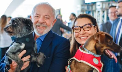 Saiba como funciona o SinPatinhas, novo RG Animal para cães e gatos lançado pelo governo Lula