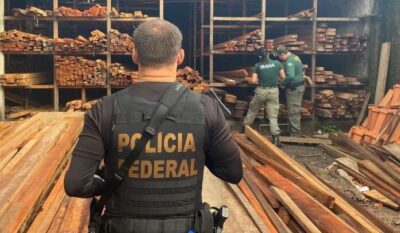 Operação Falsa Origem: PF desarticula fraudes e crimes ambientais