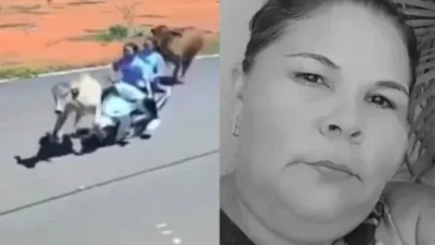 Acidentes com animais em rodovias do Maranhão deixam uma mulher morta e outra jovem ferida