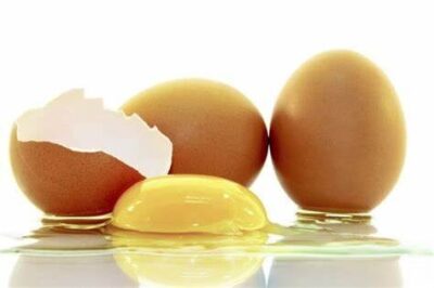 Gripe Aviária: “Frango e ovos continuam seguros”, diz especialista em segurança de alimentos