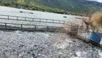 Tocantins passa a ser o 17º maior produtor de pescado no Brasil