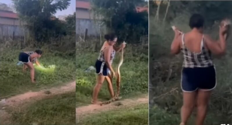 Foto: Reprodução