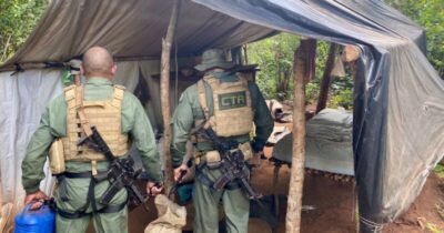 Segurança Pública destrói mais de 12 mil pés de maconha em Barra do Corda e Jenipapo dos Vieiras
