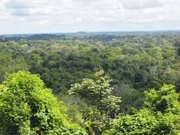 Sema promove capacitação em Imperatriz sobre espécies ameaçadas de extinção
