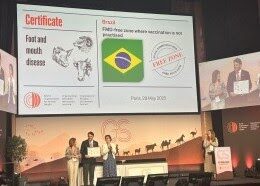 Brasil recebe certificação internacional de zona livre de aftosa sem vacinação