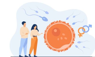 Quer engravidar? Anemia silenciosa pode estar sabotando sua fertilidade