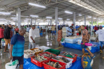 Entreposto fortalece cadeia de pescados no Maranhão