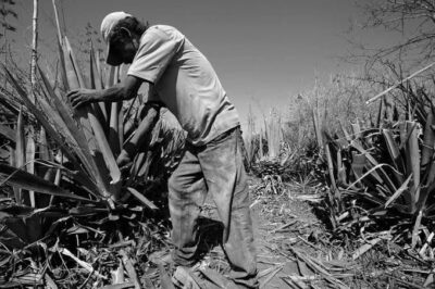 VERGONHA! Em Barra do Corda, MPF e PF apontam que Fazendeiro possui cinco trabalhadores em situação análoga à escravidão