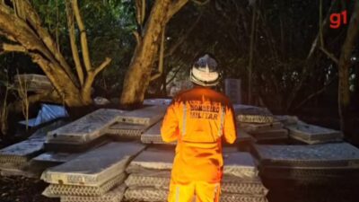 Colchões são colocados na base de árvore em que maranhense se recusa a descer em Salvador; tentativa de resgate já dura mais de 60h